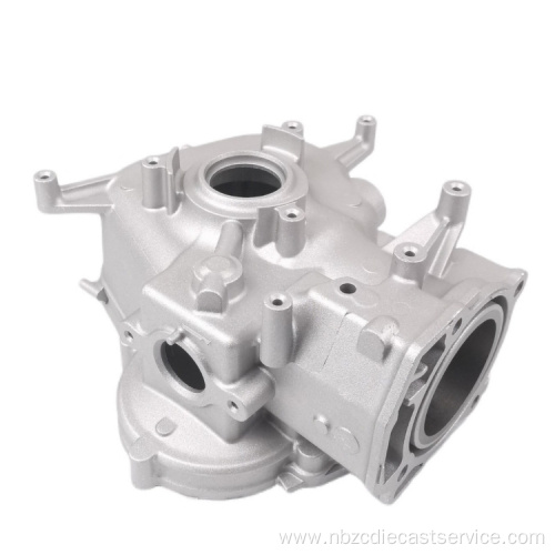 Professional OEM High Precision Metal Die Casting Products Zinc Alloy Aluminum Die Casting